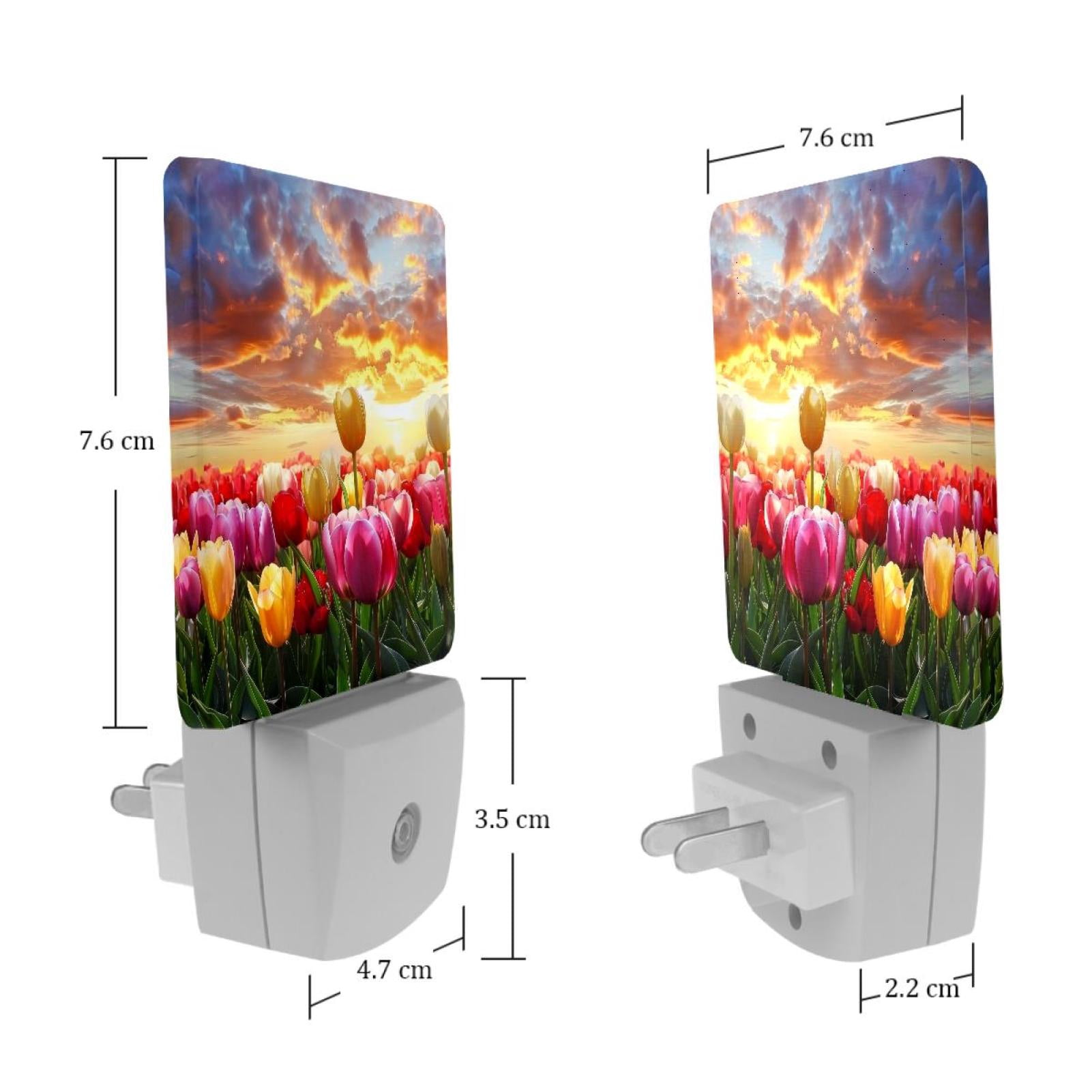PhooArto Beautiful Tulip Floral Sunset Landscape Plug in LED Night Light Auto Sensor Dusk to Dawn Decorative Night for Bedroom, Bathroom, Kitchen, Hallway, Stairs, Baby's Room, Energy Saving