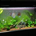 thumbnail image 3 of Drunk Skeleton Fish Tank Ornament Aquarium Air-operated Landscape Decoration New, 3 of 8