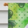 thumbnail image 3 of Carolines Treasures BB9857CHF Medium White Poodle St Patricks Flag Canvas House Size  Large multicolor, 3 of 4