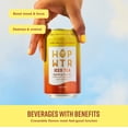 thumbnail image 2 of HopWtr - Non-Alcoholic Sparkling Hop Iced Tea & Lemonade, 6-Pack, 12oz Cans, 2 of 6