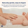 thumbnail image 4 of Kabrita Goat Milk-Based Infant Formula with DHA and ARA Non-GMO, Made in the Netherlands, 0-12 Months, 800 Gram, Complete Nutrition with Prebiotics, 4 of 9