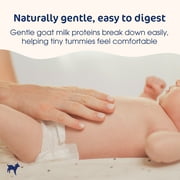 Kabrita Goat Milk Infant Formula, Non-GMO with DHA and ARA, Ages 0-12 Months, 28 oz Can