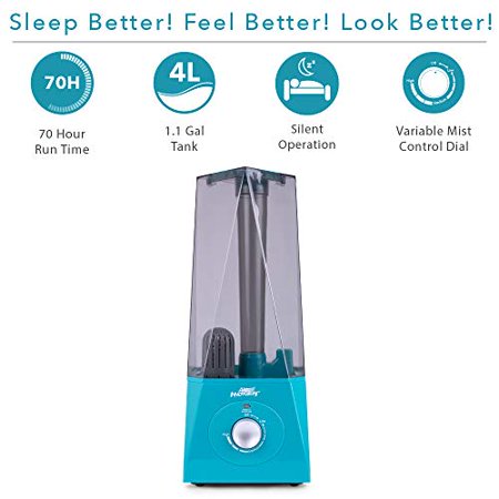 

Air Innovations 1.1 Gallon Ultrasonic Cool Mist Humidifier - Teal
