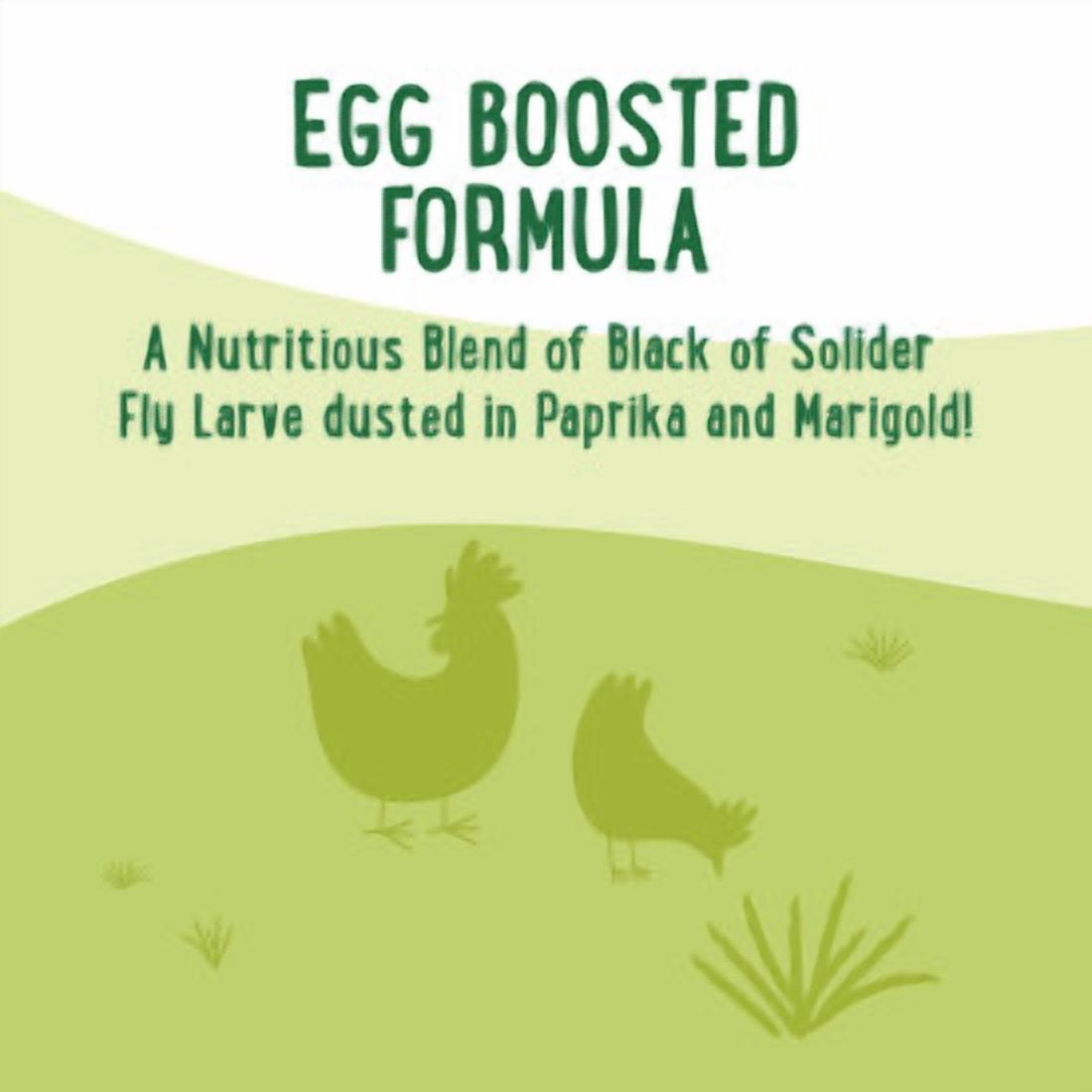 Farmhouse Favorites Golden Egg Poultry Treats 2lb