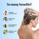 thumbnail image 3 of Champú Maple Holistics con biotina y romero para adelgazar el cabello, 3 of 9