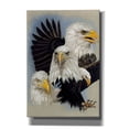 thumbnail image 1 of Epic Graffiti 'Valor' by Barbara Keith, Canvas Wall Art, 18"x26", 1 of 8