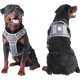 thumbnail image 5 of Adjustable training vest for dogs, comfortable dog vest, harness for large dogs, multicolored Ref: 6239, 5 of 5