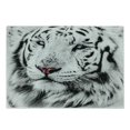 thumbnail image 1 of Safari Cutting Board, White Tiger Wintertime Rare Animal Portrait Eyes Calm Noble Beast Photography, Decorative Tempered Glass Cutting and Serving Board, Small Size, Grey Black White, by Ambesonne, 1 of 1
