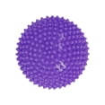 thumbnail image 3 of Balance Step Hedgehog Balance Pod Gross Motor Development Balance Training Toy Violet, 3 of 9