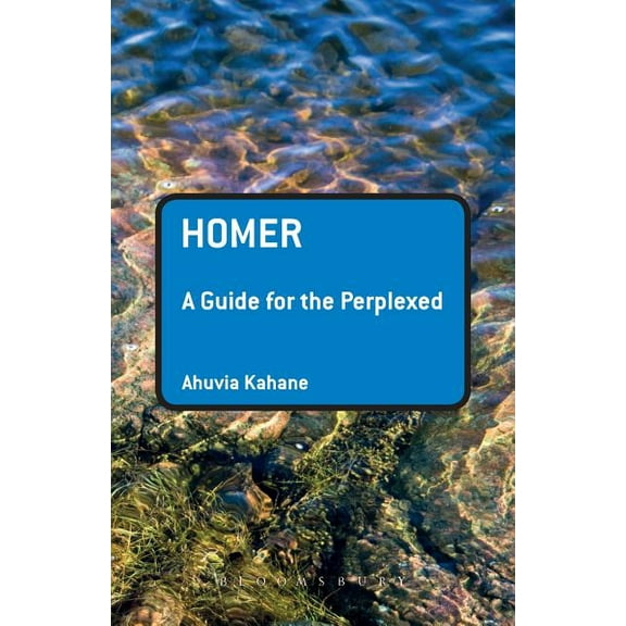 Guides for the Perplexed Homer: A Guide for the Perplexed, Book 372, (Paperback)