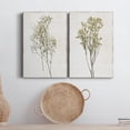 thumbnail image 6 of Farmhouse Pressed Flower I Premium Gallery Wrapped Canvas - Ready to Hang - Set of 2 - 12 x 18 Each, 6 of 9