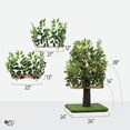 thumbnail image 4 of On2 Pets CatHaven Cat Condo (Base Carrée, Paquet Moyen), 4 of 8