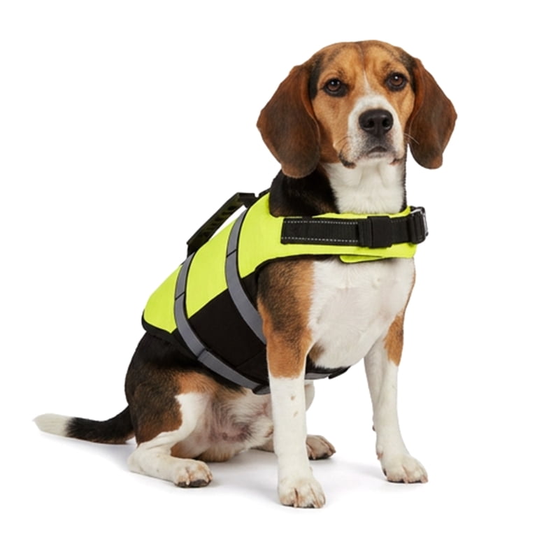 Vibrant Life High-Visibility Dog Floatation Device, Yellow, M