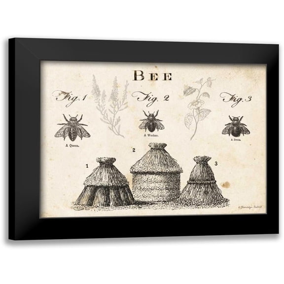 Babbitt, Gwendolyn 14x12 Black Modern Framed Museum Art Print Titled - Bee Chart I