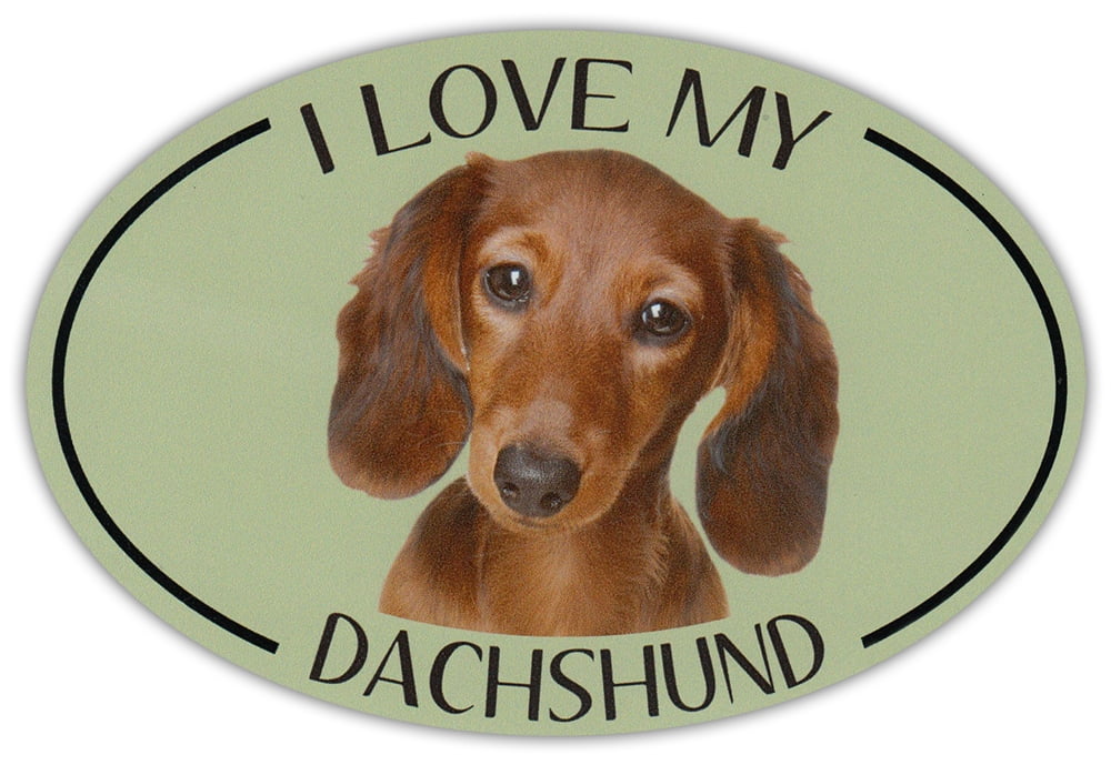 Dog Breed dach bo dach 3x5 inch Oval Low Rider Dachshund Sticker 