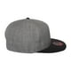 Origines - The Cap Guys TCG / Inspired Exclusives Snapback Gris Chiné – image 3 sur 5