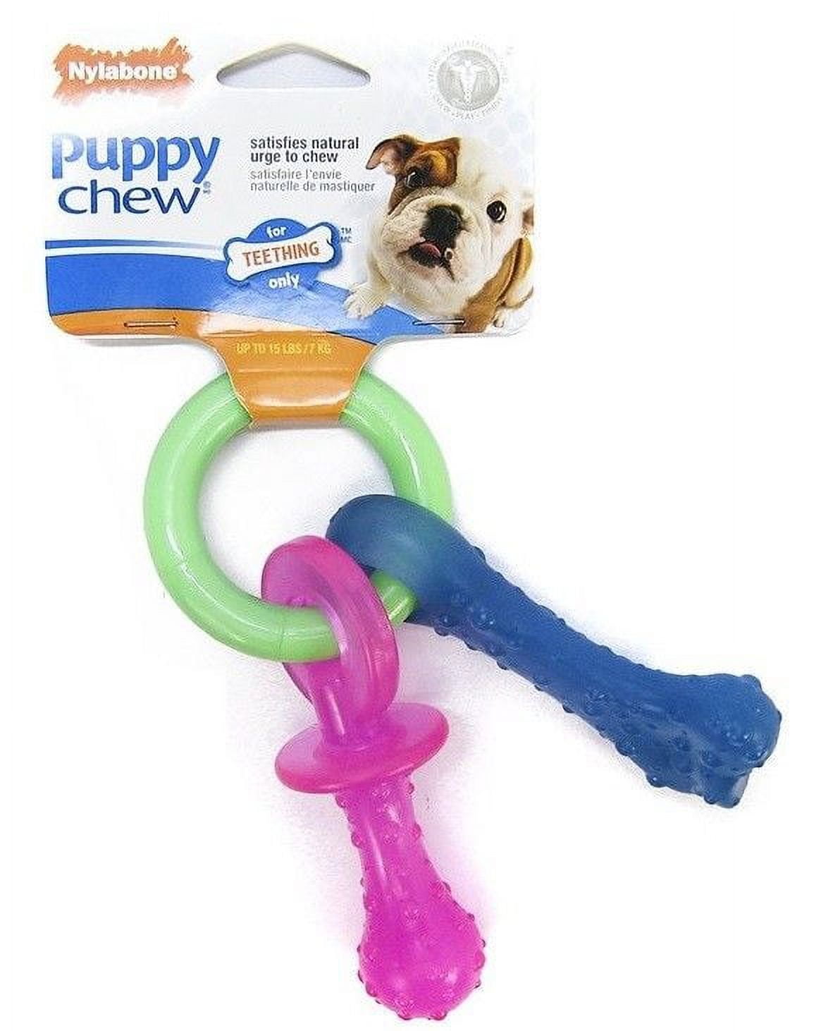 Nylabone Puppy Teething Bacon Flavored Chew Toy for Dental Health