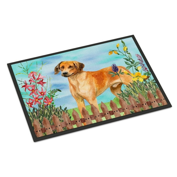 Carolines Treasures CK1238MAT Rhodesian Ridgeback Spring Door Mat Indoor Rug or Outdoor Welcome Mat 18x27 Doormat  27"L