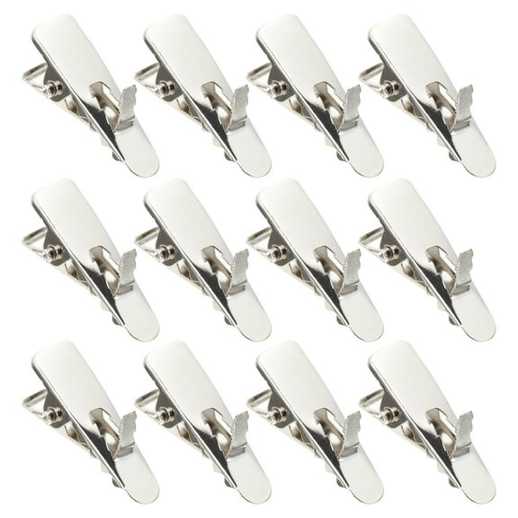 IBASETOY 100Pcs Small Metal Clips Hardware Iron Mini Clamps For Crafts Christmas Decorations Simple And Practical