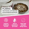 thumbnail image 3 of WINPRO Cat Probiotic Meal Topper, Gut and Allergy Support Supplement, 120 Scoops, Made in USA, 3 of 7
