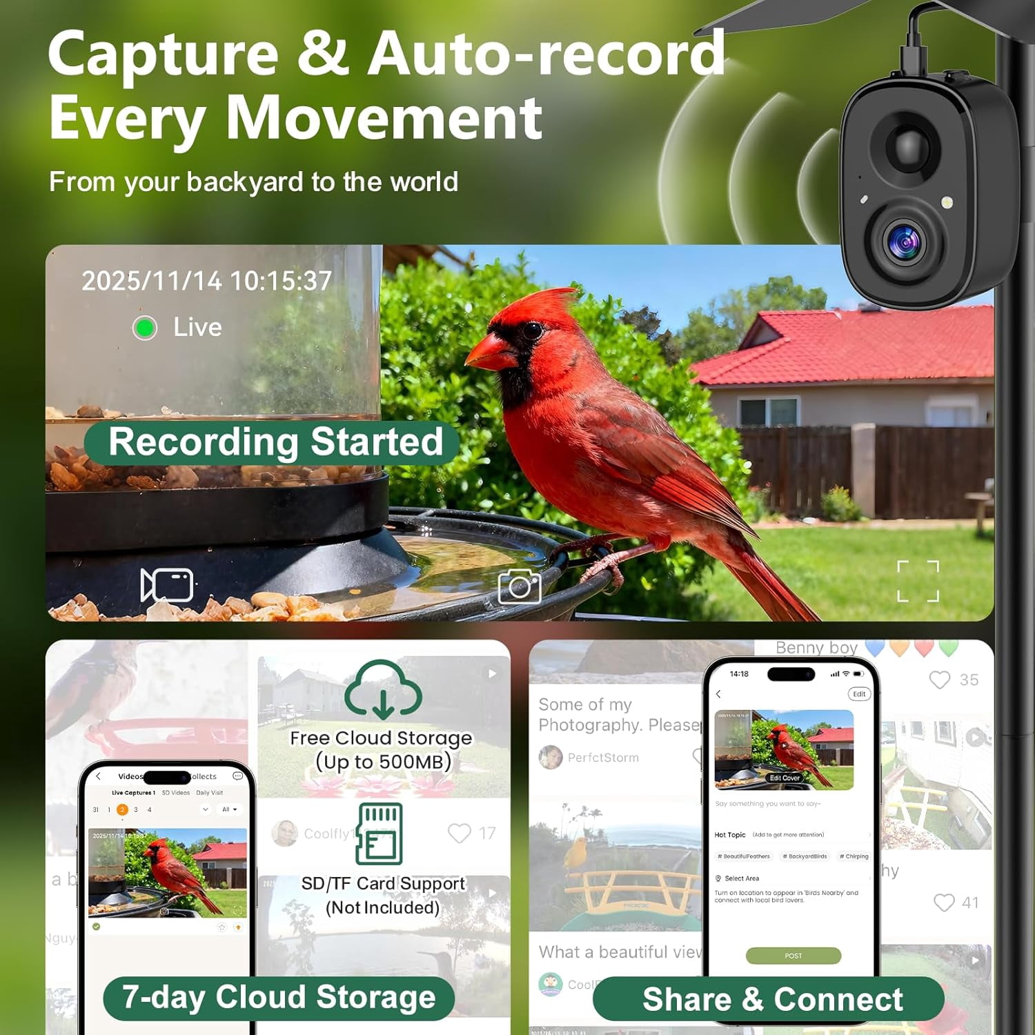 Smart Bird Feeder Camera Solar Powered with Pole