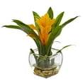 thumbnail image 3 of Nearly Natural Bromeliad with Vase Arrangement (Set of 2), 3 of 3