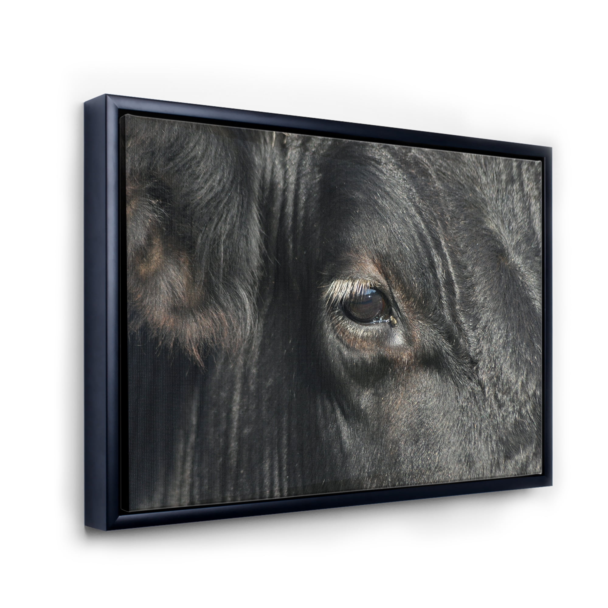 Designart 'Close-Up Of Cow Eye' Farmhouse Framed Canvas Wall Art Print