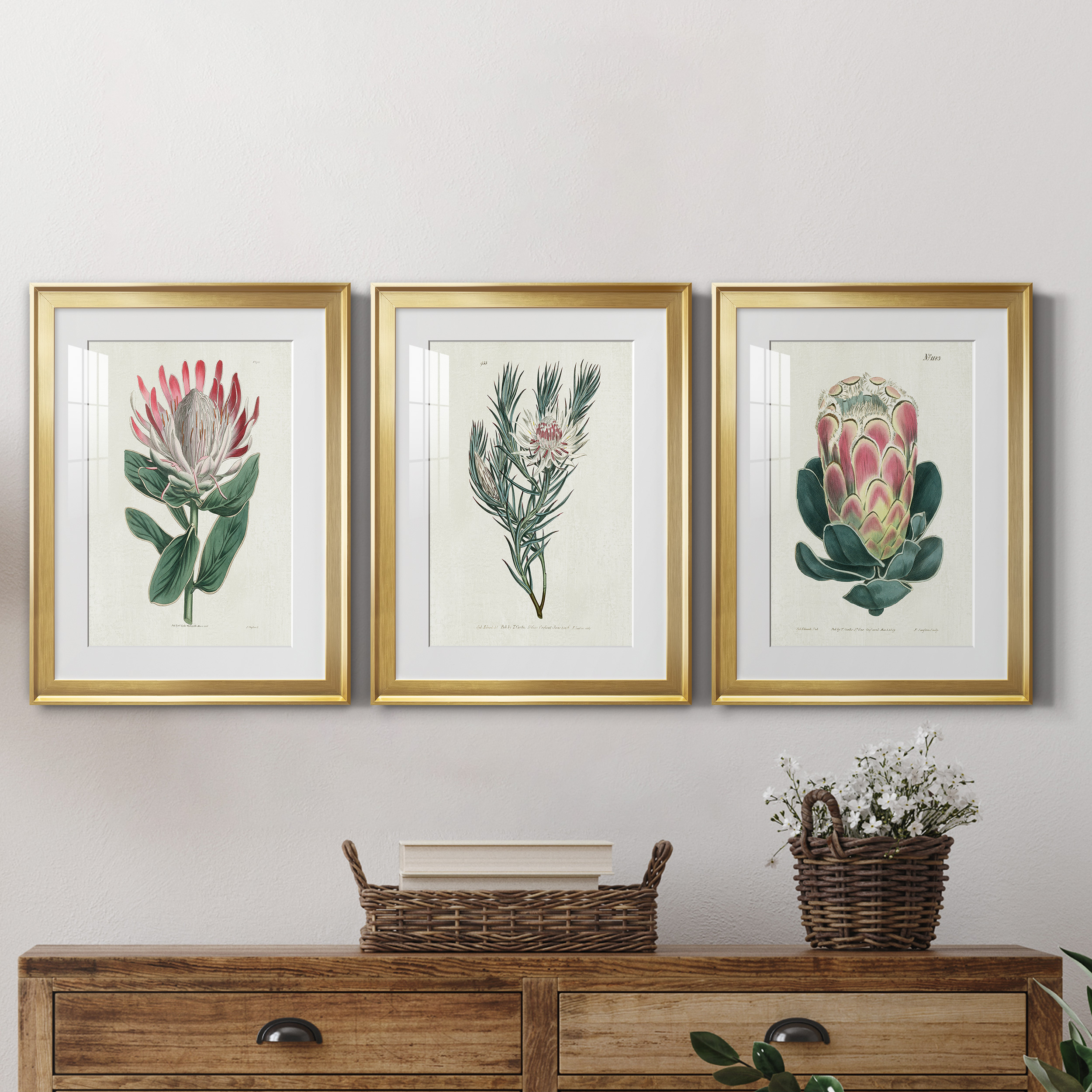 Protea N13 Premium Framed Prints Set of 3 - Ready to Hang - 22 x 30 Each - Gold Frame