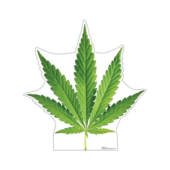 Advanced Graphics Green Leaf