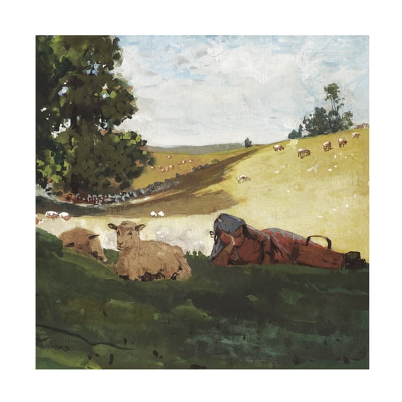 Trademark Fine Art Winslow Homer Homer's Sheep Countryside III Canvas Wall Art