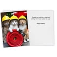 thumbnail image 2 of Tarjeta de felicitación para cumpleaños de un divertido gato con tarjeta postal adicional, 2 of 5