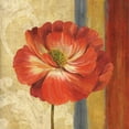 thumbnail image 3 of Gladding, Pamela 20x20 Black Modern Framed Museum Art Print Titled - Poppy Tapestry Stripes II, 3 of 5