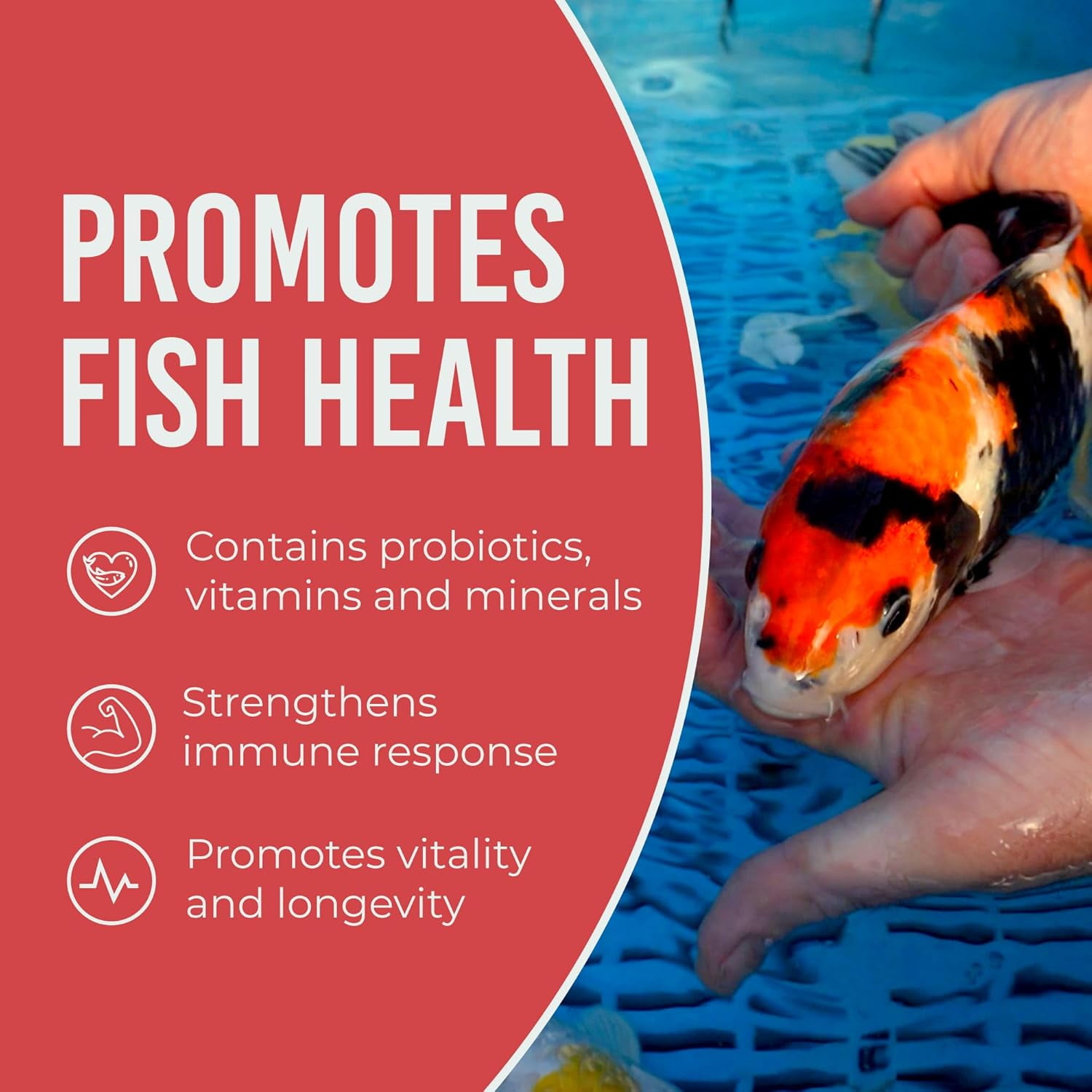 Blue Ridge Koi Fish Food 25lb - Koi Food Color Growth Formula, Goldfish Food, Premium Fish Food for Ponds, Ponds Fish Food, Floating Pond Pellets
