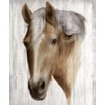 thumbnail image 2 of May, Maya 12x14 Black Ornate Wood Framed with Double Matting Museum Art Print Titled - Chestnut Mare II, 2 of 4