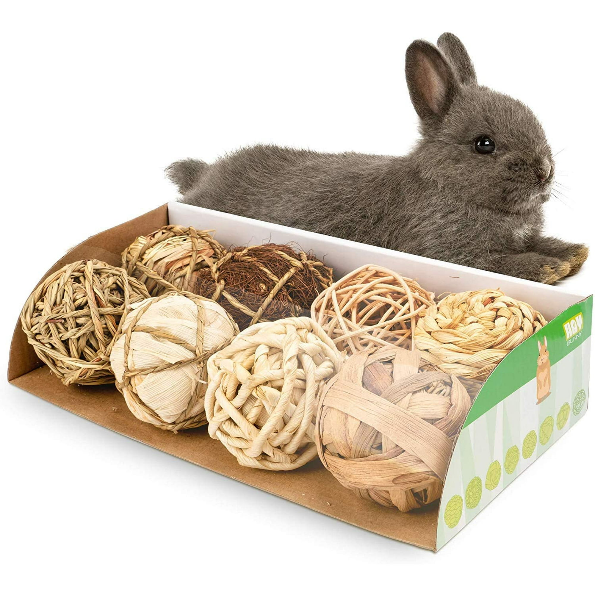 IGUOHAO Small Animals Play Balls Rolling Chew Toys & Gnawing Treats for  Rabbits Guinea Pigs Chinchilla Bunny Degus - Pet Cage Entertainment  Accessories | Walmart Canada