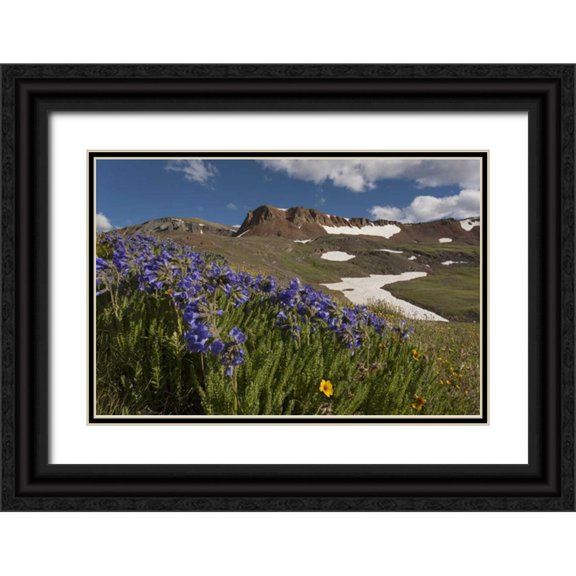 Grall, Don 18x13 Black Ornate Wood Framed with Double Matting Museum Art Print Titled - Colorado, San Juan Mts Flowers on Cinnamon Pass