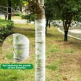 thumbnail image 5 of vnanda Garden Tree Wrap 35/100m Tree Protector Wrap Breathable Winter Outdoor Garden Cold proof Anti freeze Frost Non woven Fabric Plant Cover, 5 of 8
