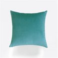 thumbnail image 1 of Funda de almohada grande de color sólido para el hogar, moderna, sencilla y extraíble, lavable, de terciopelo, de color sólido, 1 of 1