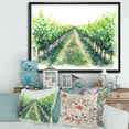 thumbnail image 2 of Designart 'Rural Scene Vineyard Path' Traditional Framed Canvas Wall Art Print, 2 of 5