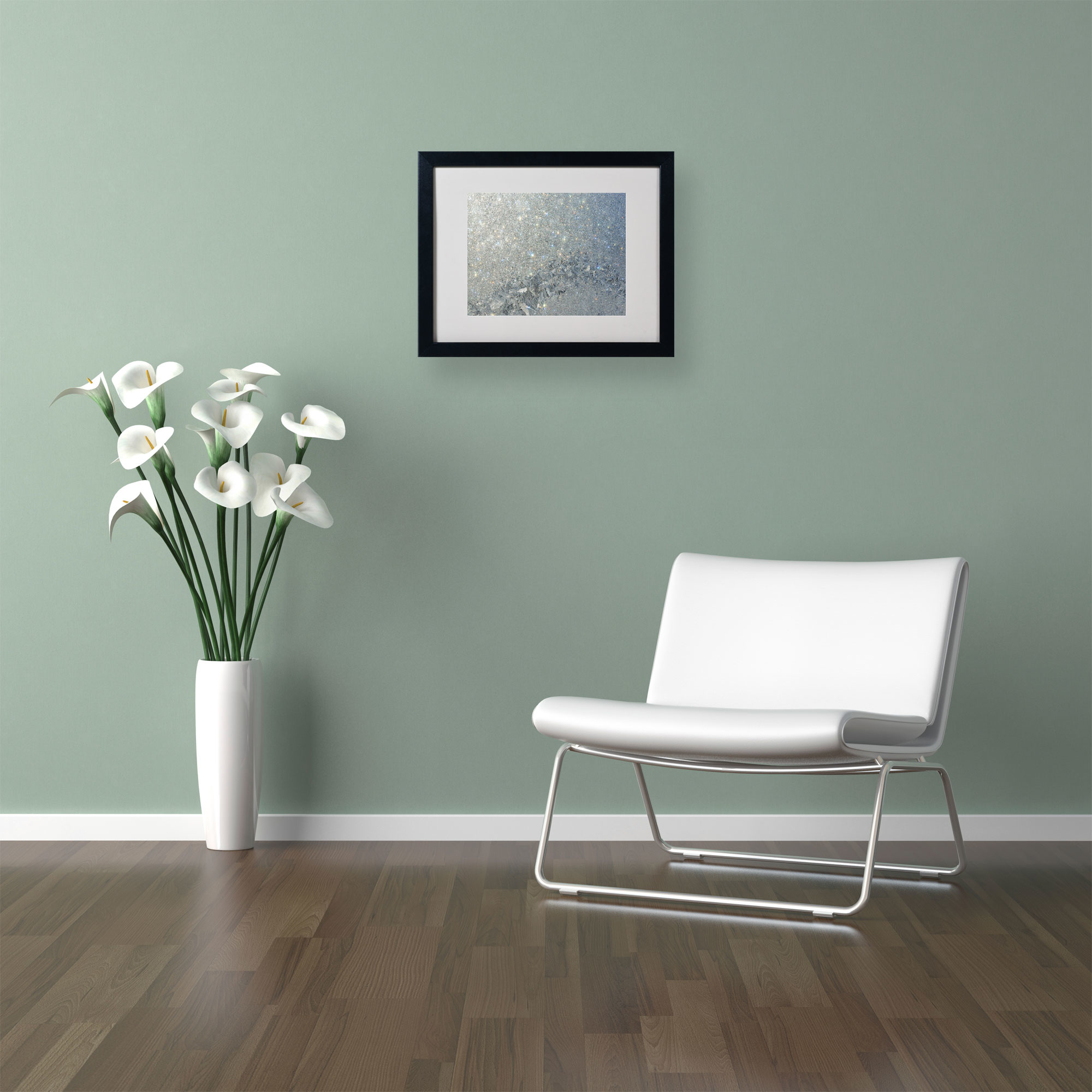 Trademark Fine Art "Frost Pattern Sun Stars" by Kurt Shaffer, Black Frame