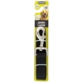 thumbnail image 2 of Aspen Pet Nylon Dog Lead, 2 of 2