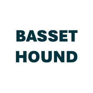 Basset Hound Pill Butter