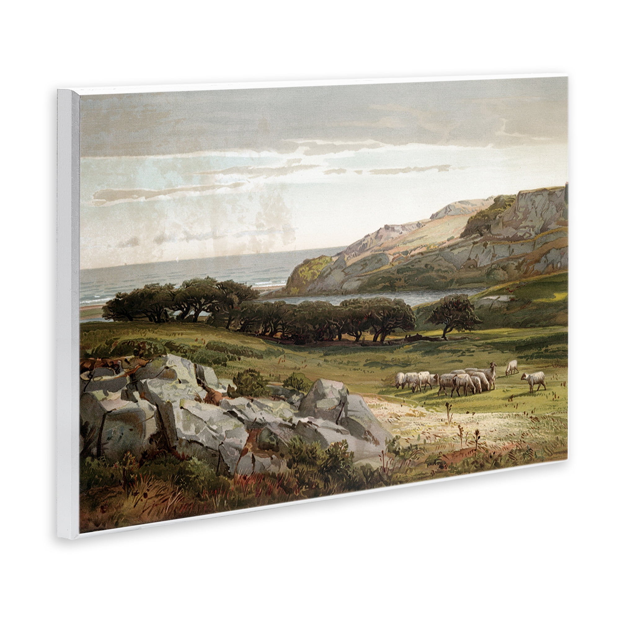 Stupell Industries Sheep in Passionate Landscape Wall Plaque Art, design by Lula Bijoux & co.