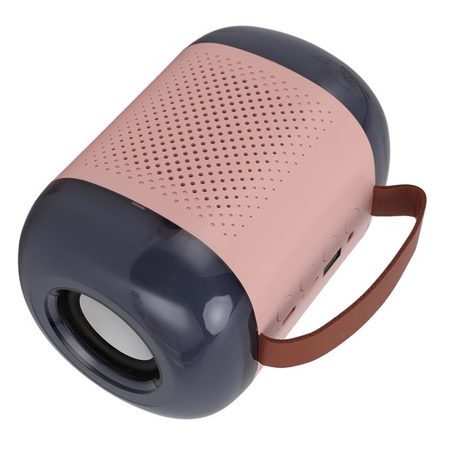 Mini Machine de Karaoké avec Microphones Sans Fil, Ensemble de Haut-Parleurs Bluetooth Portables avec Lumière RVB, Machine de Karaoké Portable pour Adultes pour Filles Garçons Famille pour Fête à la Maison