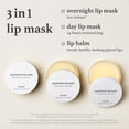 thumbnail image 2 of Mascarilla labial NOONI Applebutter Overnight Hidratante 12 ml, 2 of 9