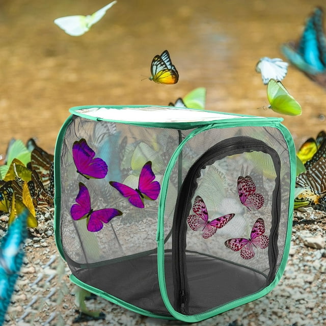 Convenient Foldable Portable Ventilated Breeding Cage, Durable Large Foldable Breeding Cage, For Insect And Butterfly Keeper ANGGREK Otros