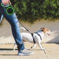 thumbnail image 5 of Correa retráctil verde de 8 m, correa retráctil para perros, correa automática de entrenamiento para perros de hasta (50 kg), 5 of 5