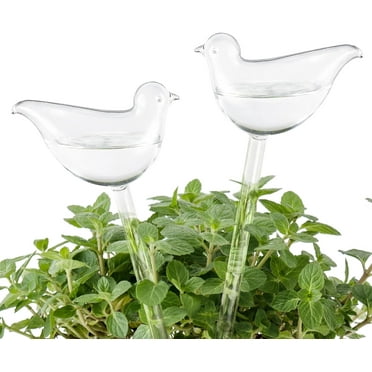 Isuesee 2 Pack Plant Self Watering Globes Glass Water Bulbs for Planter Insert