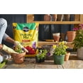 thumbnail image 2 of Miracle-Gro Potting Mix 16 qt., 2-Pack, Feeds Up to 6 Months, For Use In Containers, 2 of 5
