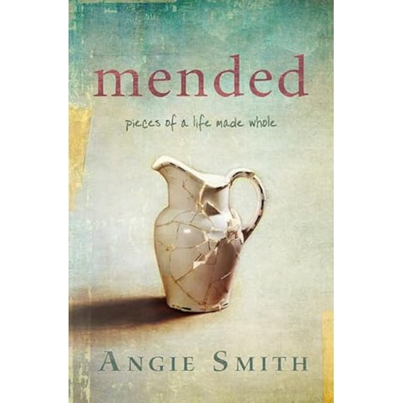 Pre-Owned Mended: Pieces of a Life Made Whole (Paperback) 1433676605 9781433676604